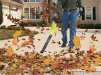 Аккумуляторная воздуходувка Ryobi OBL1802